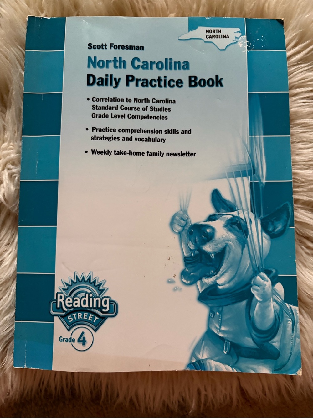 North Carolina Daily Practice Workbook Grade 4 Comprehension Skills Homeschool